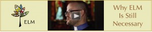 elm-video-banner-13