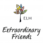 Extraordinary Friends