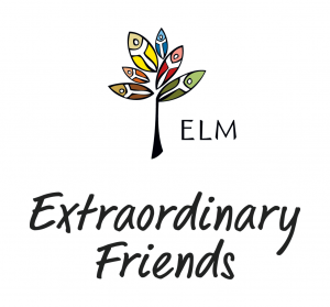 Extraordinary Friends